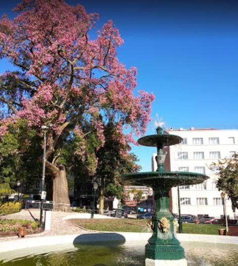 Alegramente Apartment Lisboa Ngoại thất bức ảnh